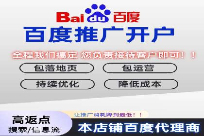 百度竞价代运营的成功案例：从零到一的突破